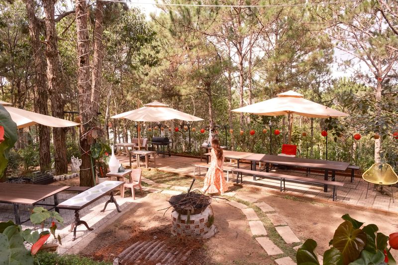 Sân vườn BBQ GIA AN với dù trắng, bàn dài và lồng đèn đỏ dưới rừng thông