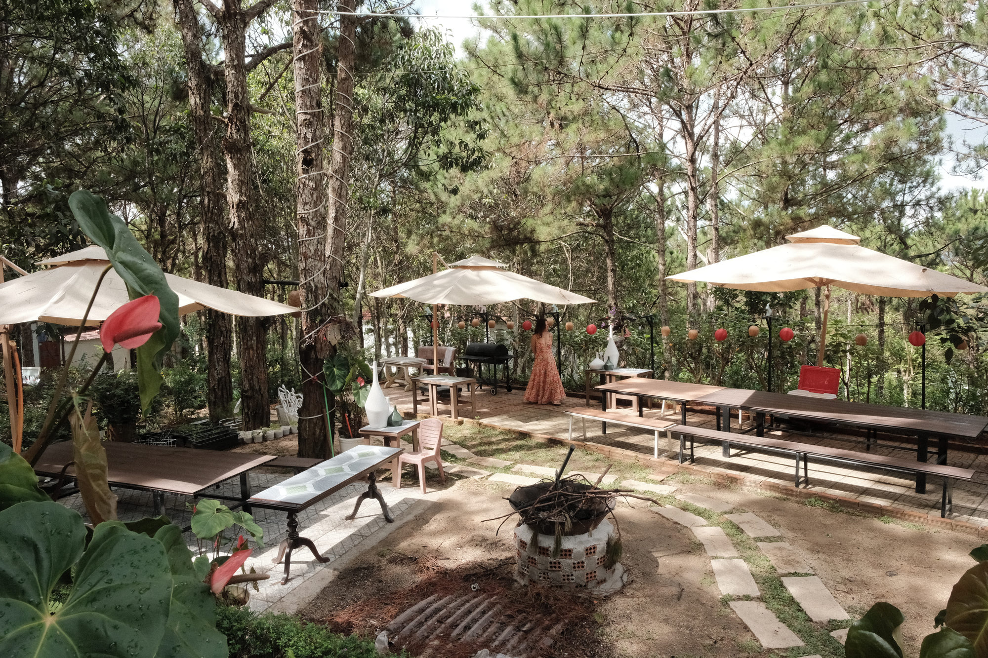 Khu tiệc BBQ dưới tán thông tại GIA AN