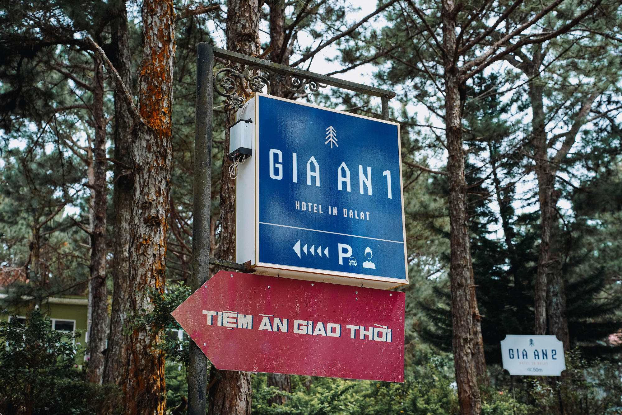 Bảng hiệu GIA AN 1 giữa rừng thông