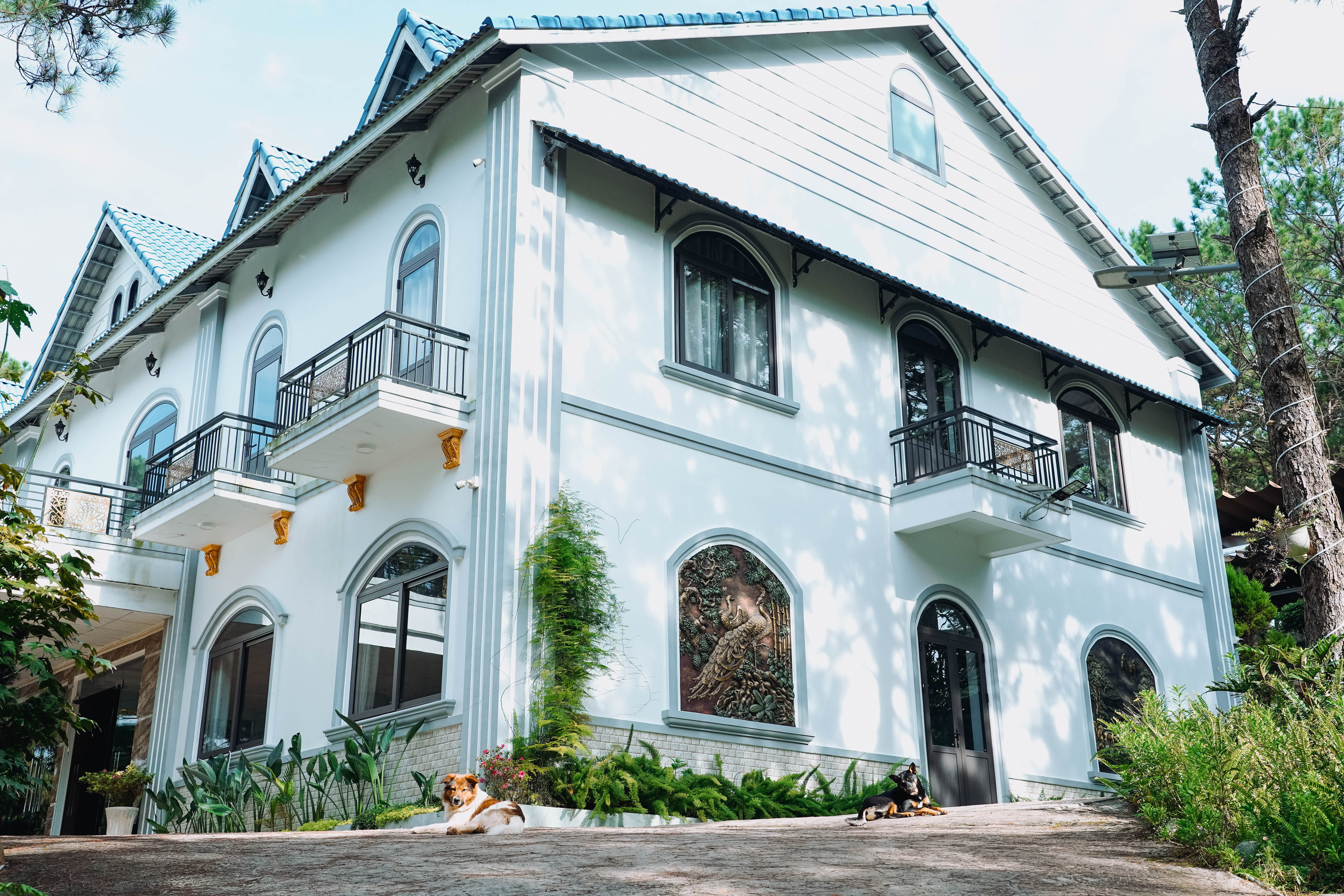 Villa GIA AN Hotel Dalat giữa rừng thông