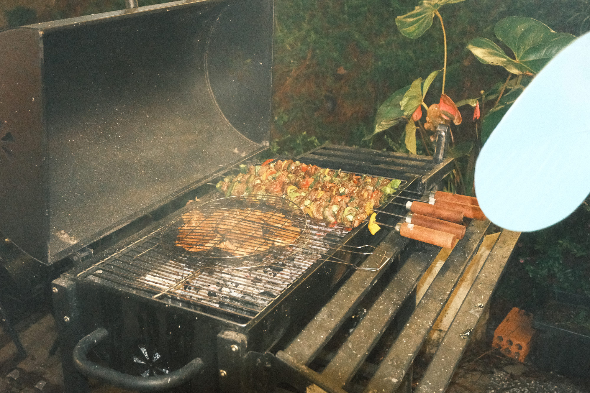 Tiệc BBQ đồi thông – ảnh 1