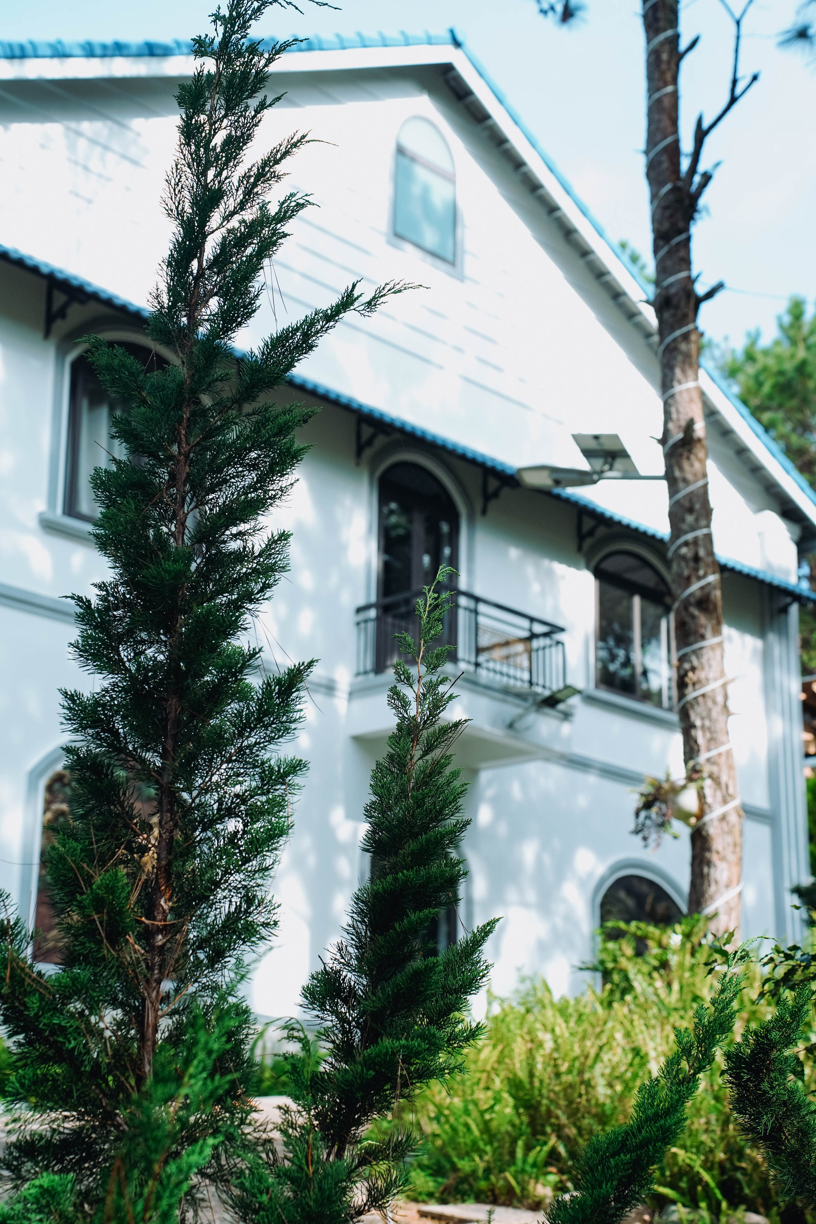 Villa GIA AN Hotel Dalat giữa rừng thông